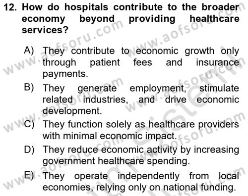 Health Economics Dersi 2024 - 2025 Yılı (Vize) Ara Sınav Soruları 12. Soru