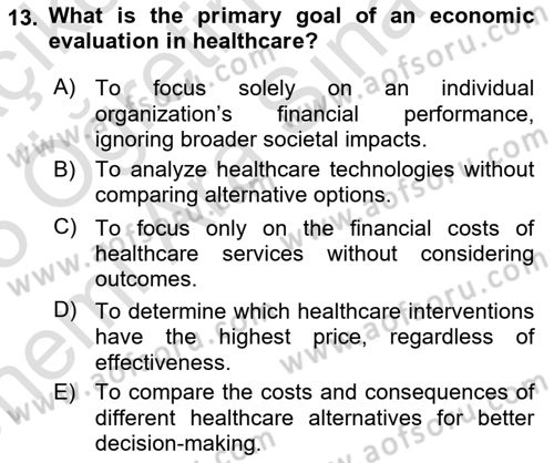 Health Economics Dersi 2024 - 2025 Yılı (Vize) Ara Sınav Soruları 13. Soru
