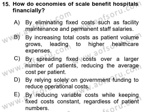 Health Economics Dersi 2024 - 2025 Yılı (Vize) Ara Sınav Soruları 15. Soru