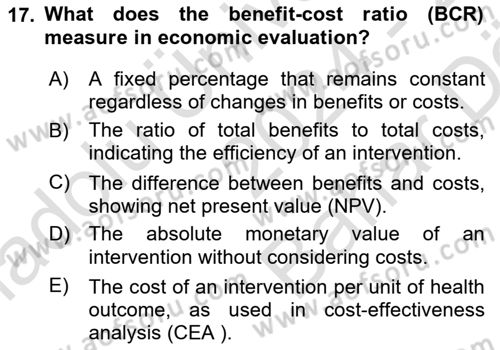 Health Economics Dersi 2024 - 2025 Yılı (Vize) Ara Sınav Soruları 17. Soru