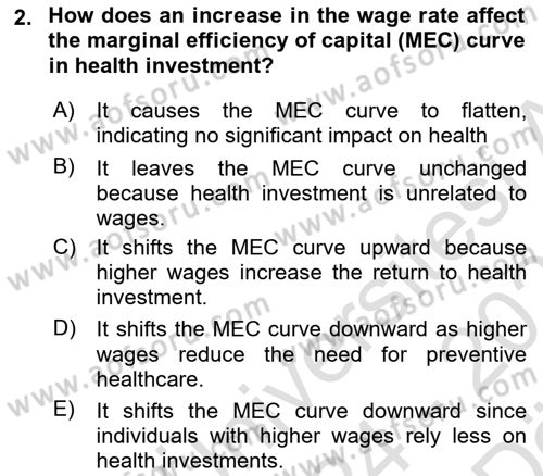 Health Economics Dersi 2024 - 2025 Yılı (Vize) Ara Sınav Soruları 2. Soru