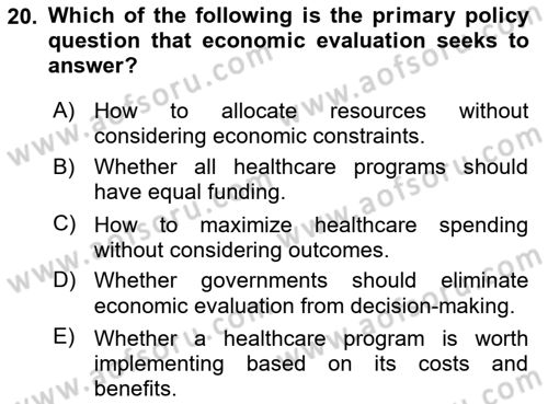Health Economics Dersi 2024 - 2025 Yılı (Vize) Ara Sınav Soruları 20. Soru