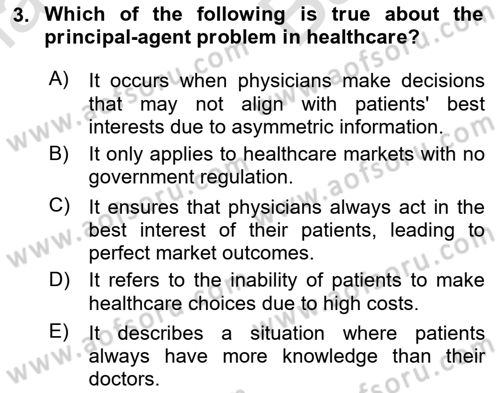 Health Economics Dersi 2024 - 2025 Yılı (Vize) Ara Sınav Soruları 3. Soru
