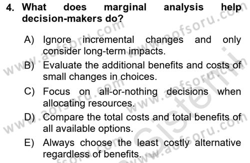Health Economics Dersi 2024 - 2025 Yılı (Vize) Ara Sınav Soruları 4. Soru