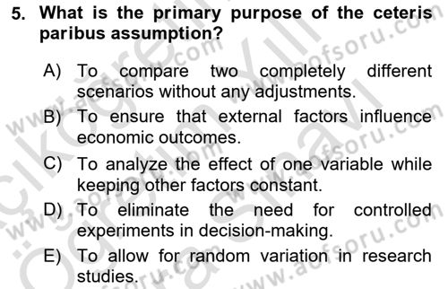 Health Economics Dersi 2024 - 2025 Yılı (Vize) Ara Sınav Soruları 5. Soru