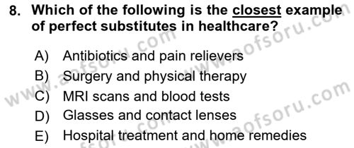 Health Economics Dersi 2024 - 2025 Yılı (Vize) Ara Sınav Soruları 8. Soru