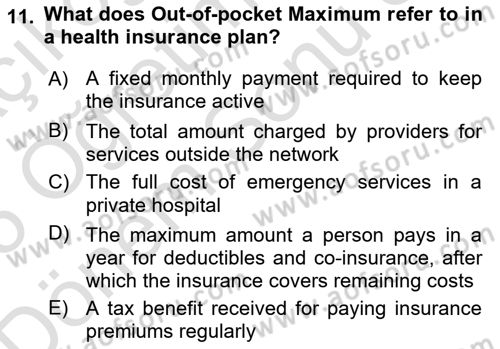 Health Economics Dersi 2024 - 2025 Yılı (Final) Dönem Sonu Sınav Soruları 11. Soru