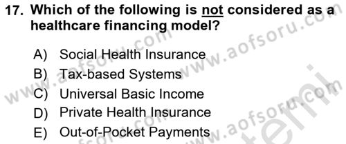 Health Economics Dersi 2024 - 2025 Yılı (Final) Dönem Sonu Sınav Soruları 17. Soru