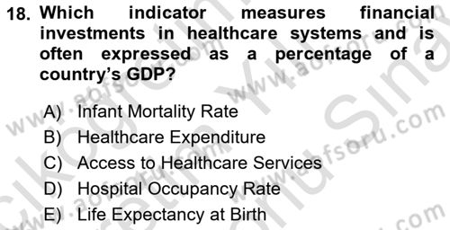 Health Economics Dersi 2024 - 2025 Yılı (Final) Dönem Sonu Sınav Soruları 18. Soru