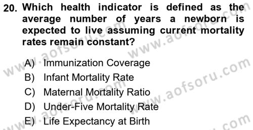 Health Economics Dersi 2024 - 2025 Yılı (Final) Dönem Sonu Sınav Soruları 20. Soru