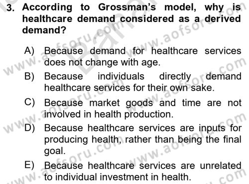Health Economics Dersi 2024 - 2025 Yılı (Final) Dönem Sonu Sınav Soruları 3. Soru