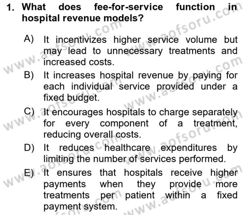 Health Economics Dersi 2024 - 2025 Yılı Yaz Okulu Sınav Soruları 1. Soru