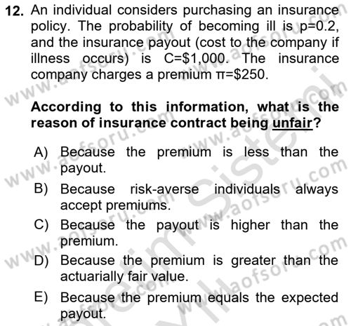 Health Economics Dersi 2024 - 2025 Yılı Yaz Okulu Sınav Soruları 12. Soru