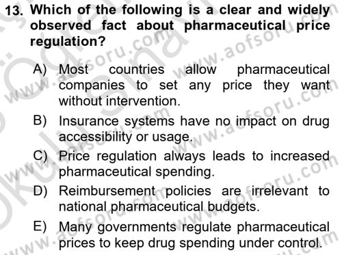 Health Economics Dersi 2024 - 2025 Yılı Yaz Okulu Sınav Soruları 13. Soru