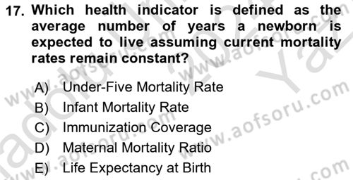 Health Economics Dersi 2024 - 2025 Yılı Yaz Okulu Sınav Soruları 17. Soru