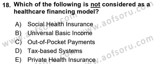 Health Economics Dersi 2024 - 2025 Yılı Yaz Okulu Sınav Soruları 18. Soru