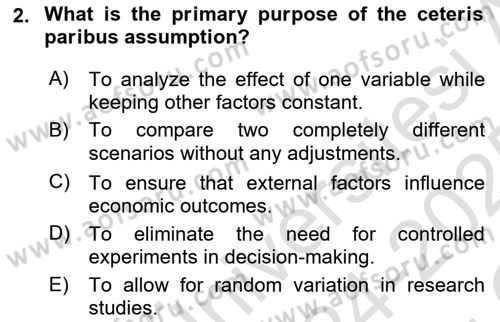 Health Economics Dersi 2024 - 2025 Yılı Yaz Okulu Sınav Soruları 2. Soru