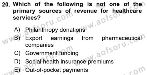 Health Economics Dersi 2024 - 2025 Yılı Yaz Okulu Sınav Soruları 20. Soru