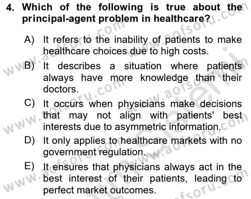 Health Economics Dersi 2024 - 2025 Yılı Yaz Okulu Sınav Soruları 4. Soru