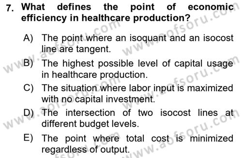 Health Economics Dersi 2024 - 2025 Yılı Yaz Okulu Sınav Soruları 7. Soru