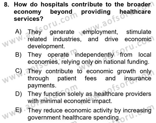 Health Economics Dersi 2024 - 2025 Yılı Yaz Okulu Sınav Soruları 8. Soru