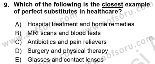 Health Economics Dersi 2024 - 2025 Yılı Yaz Okulu Sınav Soruları 9. Soru