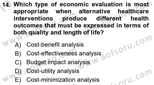 Health Economics Dersi 2025 - 2026 Yılı (Vize) Ara Sınav Soruları 14. Soru