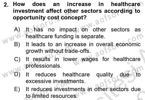 Health Economics Dersi 2025 - 2026 Yılı (Vize) Ara Sınav Soruları 2. Soru