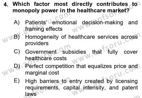 Health Economics Dersi 2025 - 2026 Yılı (Vize) Ara Sınav Soruları 4. Soru