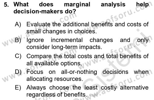 Health Economics Dersi 2025 - 2026 Yılı (Vize) Ara Sınav Soruları 5. Soru