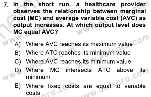 Health Economics Dersi 2025 - 2026 Yılı (Vize) Ara Sınav Soruları 7. Soru