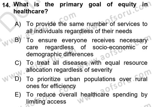 Health Economics Dersi 2025 - 2026 Yılı (Final) Dönem Sonu Sınav Soruları 14. Soru