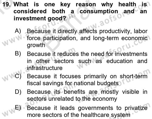 Health Economics Dersi 2025 - 2026 Yılı (Final) Dönem Sonu Sınav Soruları 19. Soru