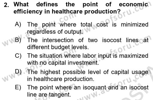 Health Economics Dersi 2025 - 2026 Yılı (Final) Dönem Sonu Sınav Soruları 2. Soru