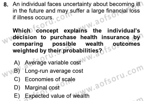 Health Economics Dersi 2025 - 2026 Yılı (Final) Dönem Sonu Sınav Soruları 8. Soru
