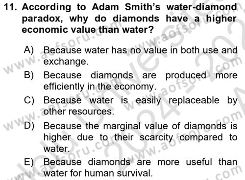 Economics Of Natural Resources And Environment Dersi 2024 - 2025 Yılı (Vize) Ara Sınav Soruları 11. Soru