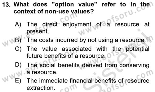 Economics Of Natural Resources And Environment Dersi 2024 - 2025 Yılı (Vize) Ara Sınav Soruları 13. Soru