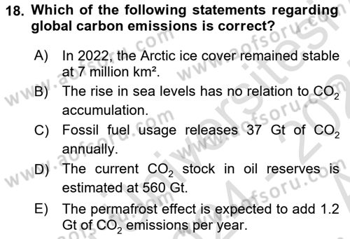 Economics Of Natural Resources And Environment Dersi 2024 - 2025 Yılı (Vize) Ara Sınav Soruları 18. Soru