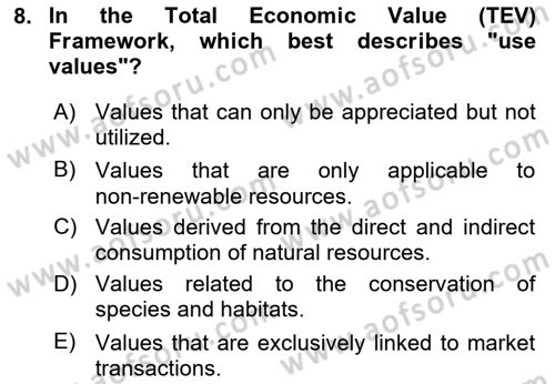 Economics Of Natural Resources And Environment Dersi 2024 - 2025 Yılı (Vize) Ara Sınav Soruları 8. Soru