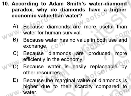 Economics Of Natural Resources And Environment Dersi 2024 - 2025 Yılı (Final) Dönem Sonu Sınav Soruları 10. Soru