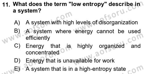 Economics Of Natural Resources And Environment Dersi 2024 - 2025 Yılı (Final) Dönem Sonu Sınav Soruları 11. Soru