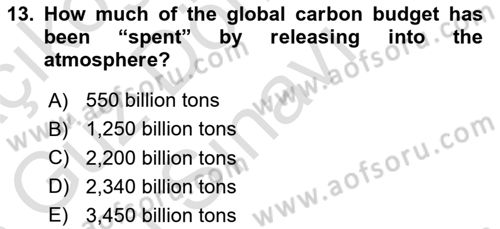 Economics Of Natural Resources And Environment Dersi 2024 - 2025 Yılı (Final) Dönem Sonu Sınav Soruları 13. Soru