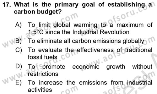 Economics Of Natural Resources And Environment Dersi 2024 - 2025 Yılı (Final) Dönem Sonu Sınav Soruları 17. Soru
