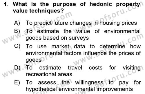 Economics Of Natural Resources And Environment Dersi 2024 - 2025 Yılı Yaz Okulu Sınav Soruları 1. Soru