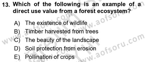 Economics Of Natural Resources And Environment Dersi 2024 - 2025 Yılı Yaz Okulu Sınav Soruları 13. Soru