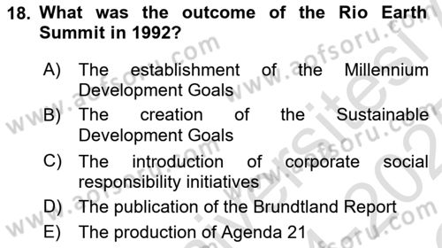 Economics Of Natural Resources And Environment Dersi 2024 - 2025 Yılı Yaz Okulu Sınav Soruları 18. Soru
