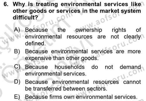 Economics Of Natural Resources And Environment Dersi 2024 - 2025 Yılı Yaz Okulu Sınav Soruları 6. Soru
