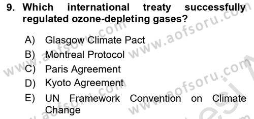 Economics Of Natural Resources And Environment Dersi 2024 - 2025 Yılı Yaz Okulu Sınav Soruları 9. Soru