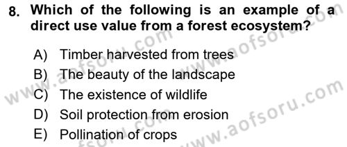 Economics Of Natural Resources And Environment Dersi 2025 - 2026 Yılı (Vize) Ara Sınav Soruları 8. Soru