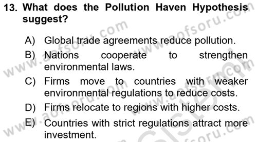 Economics Of Natural Resources And Environment Dersi 2025 - 2026 Yılı (Final) Dönem Sonu Sınav Soruları 13. Soru